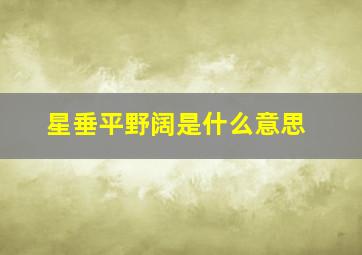 星垂平野阔是什么意思