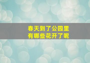 春天到了公园里有哪些花开了呢