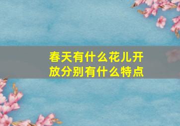 春天有什么花儿开放分别有什么特点