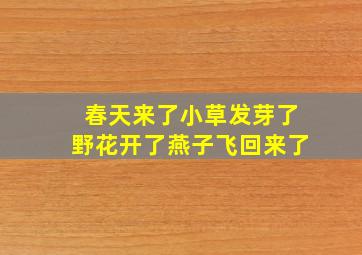 春天来了小草发芽了野花开了燕子飞回来了