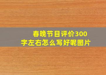 春晚节目评价300字左右怎么写好呢图片