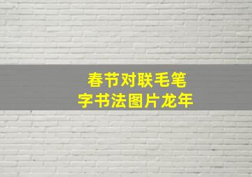 春节对联毛笔字书法图片龙年