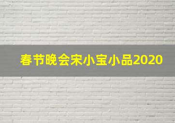 春节晚会宋小宝小品2020