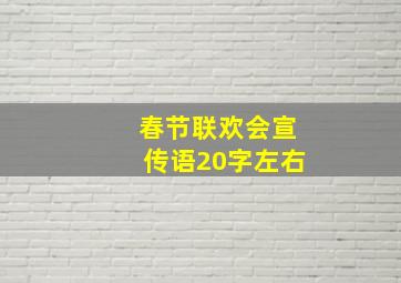 春节联欢会宣传语20字左右