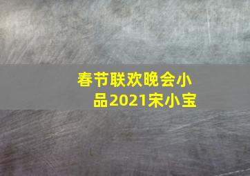 春节联欢晚会小品2021宋小宝