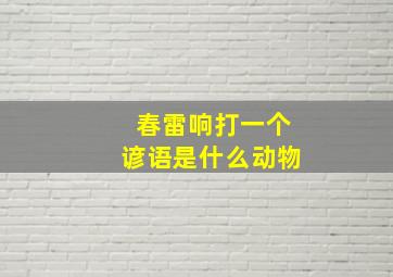 春雷响打一个谚语是什么动物