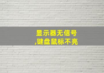 显示器无信号,键盘鼠标不亮