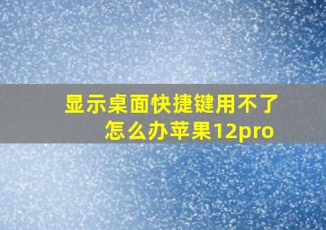 显示桌面快捷键用不了怎么办苹果12pro