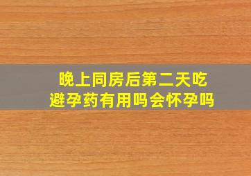 晚上同房后第二天吃避孕药有用吗会怀孕吗