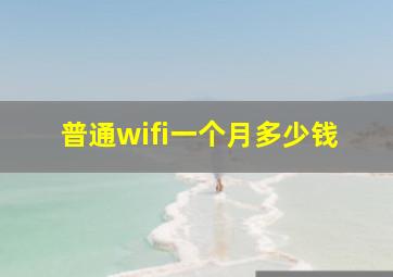 普通wifi一个月多少钱