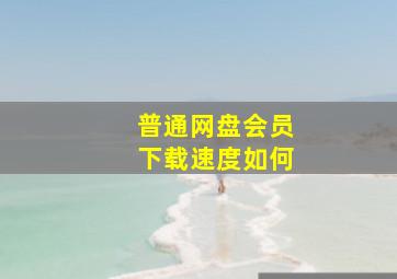 普通网盘会员下载速度如何