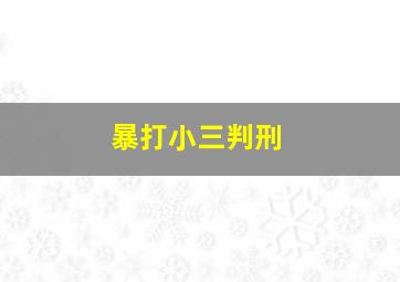 暴打小三判刑