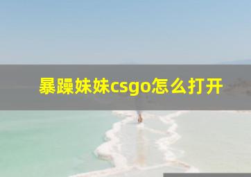 暴躁妹妹csgo怎么打开