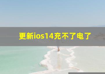 更新ios14充不了电了