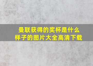 曼联获得的奖杯是什么样子的图片大全高清下载