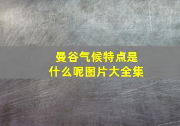 曼谷气候特点是什么呢图片大全集