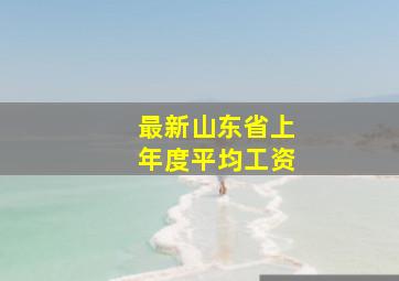 最新山东省上年度平均工资