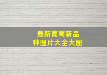 最新葡萄新品种图片大全大图