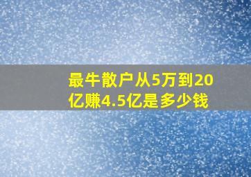 最牛散户从5万到20亿赚4.5亿是多少钱