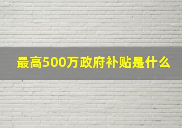 最高500万政府补贴是什么