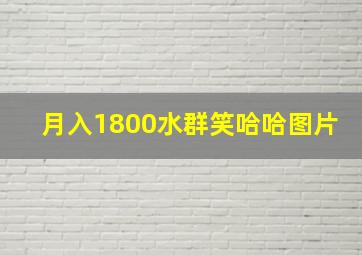 月入1800水群笑哈哈图片