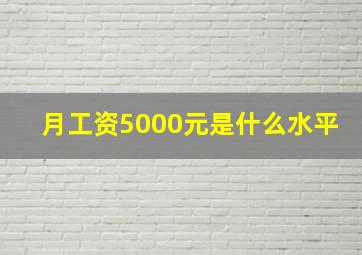 月工资5000元是什么水平