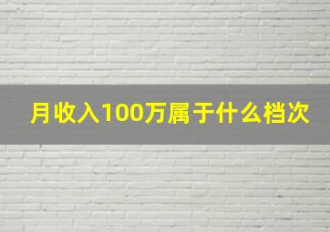 月收入100万属于什么档次