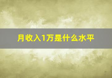 月收入1万是什么水平