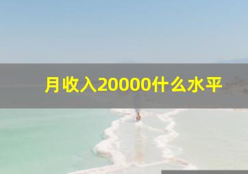 月收入20000什么水平