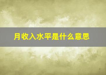 月收入水平是什么意思