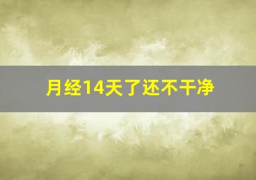 月经14天了还不干净