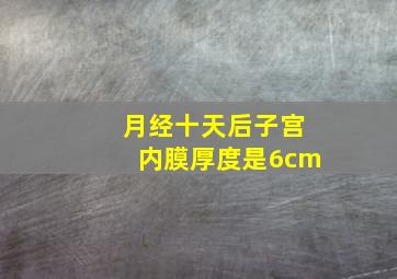 月经十天后子宫内膜厚度是6cm