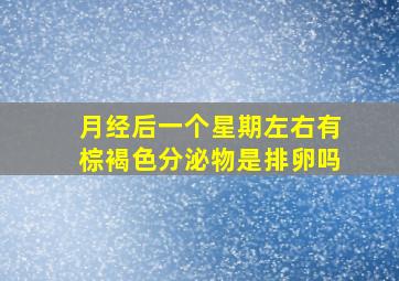 月经后一个星期左右有棕褐色分泌物是排卵吗