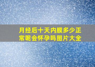 月经后十天内膜多少正常呢会怀孕吗图片大全