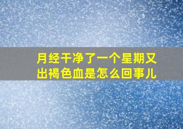 月经干净了一个星期又出褐色血是怎么回事儿