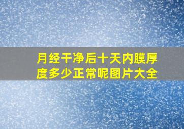 月经干净后十天内膜厚度多少正常呢图片大全