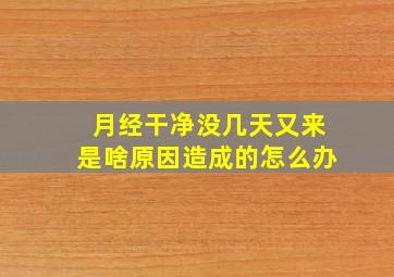 月经干净没几天又来是啥原因造成的怎么办