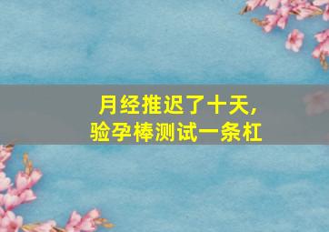 月经推迟了十天,验孕棒测试一条杠