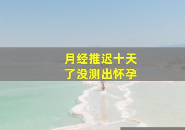 月经推迟十天了没测出怀孕