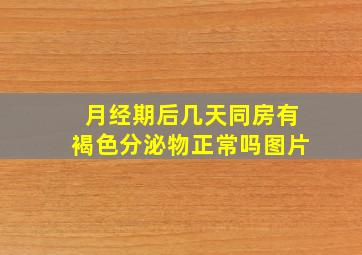 月经期后几天同房有褐色分泌物正常吗图片