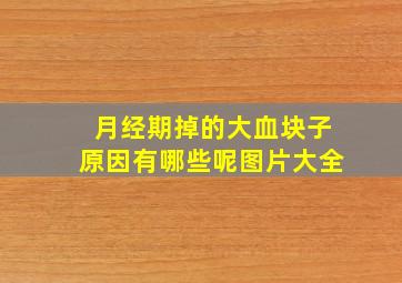 月经期掉的大血块子原因有哪些呢图片大全