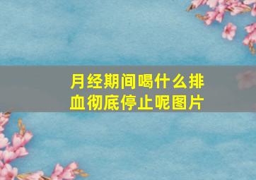 月经期间喝什么排血彻底停止呢图片