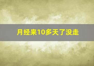 月经来10多天了没走