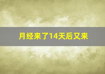 月经来了14天后又来