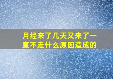 月经来了几天又来了一直不走什么原因造成的