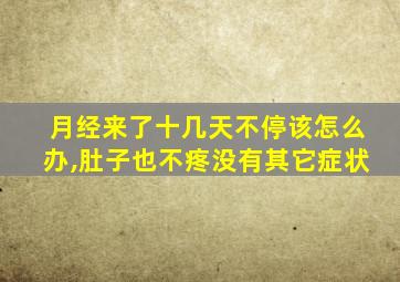 月经来了十几天不停该怎么办,肚子也不疼没有其它症状