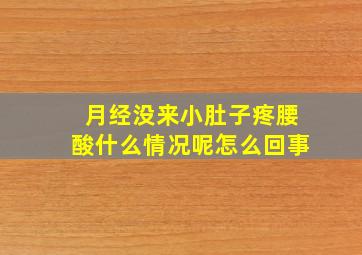 月经没来小肚子疼腰酸什么情况呢怎么回事