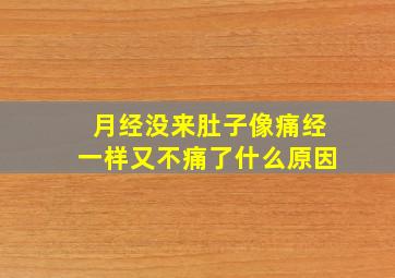 月经没来肚子像痛经一样又不痛了什么原因