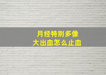 月经特别多像大出血怎么止血