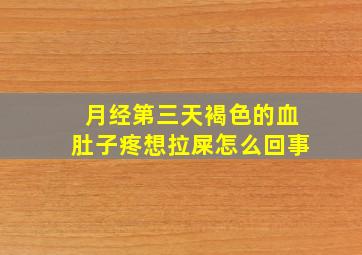 月经第三天褐色的血肚子疼想拉屎怎么回事